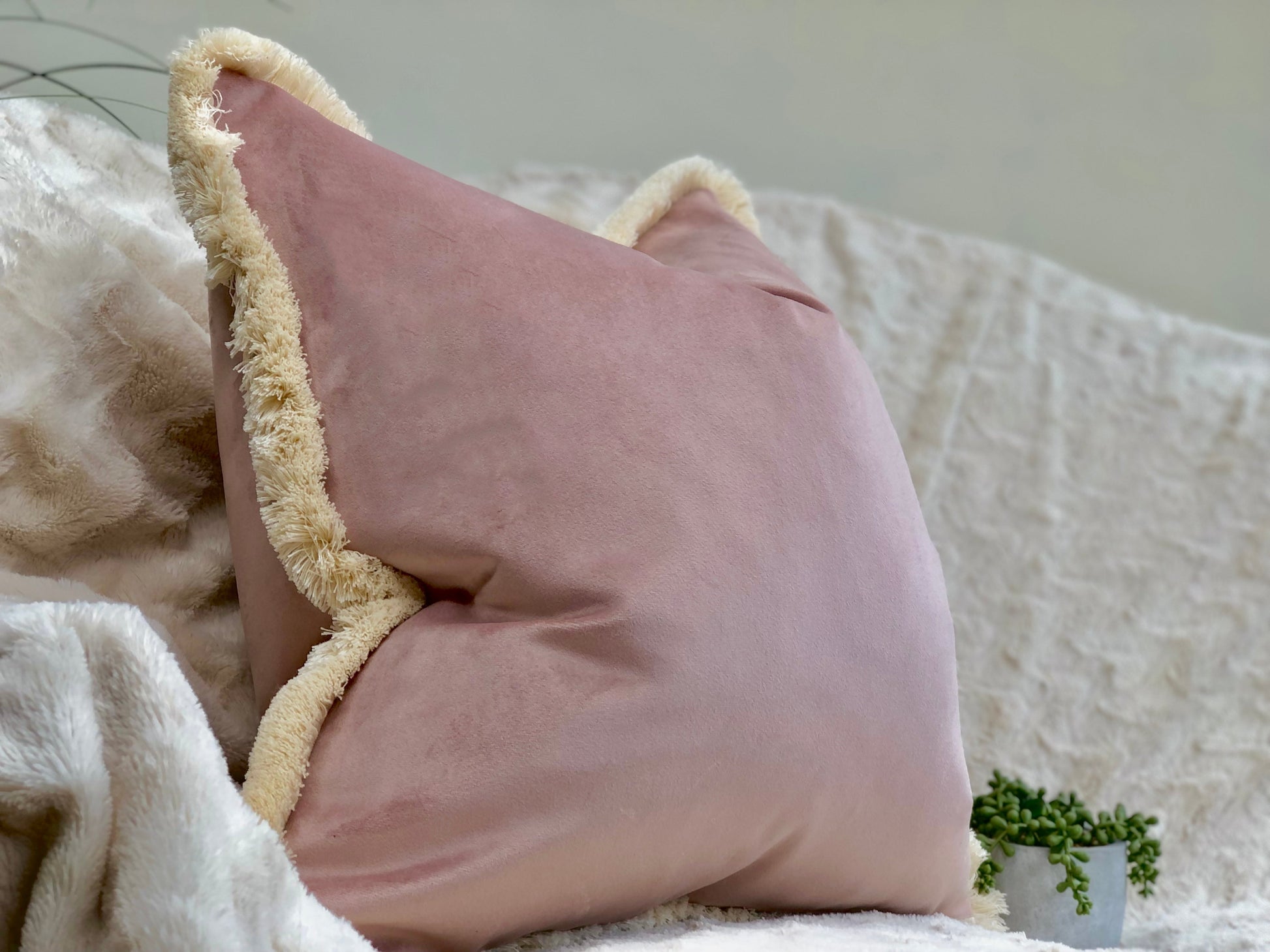 Velvet pink shops cushions