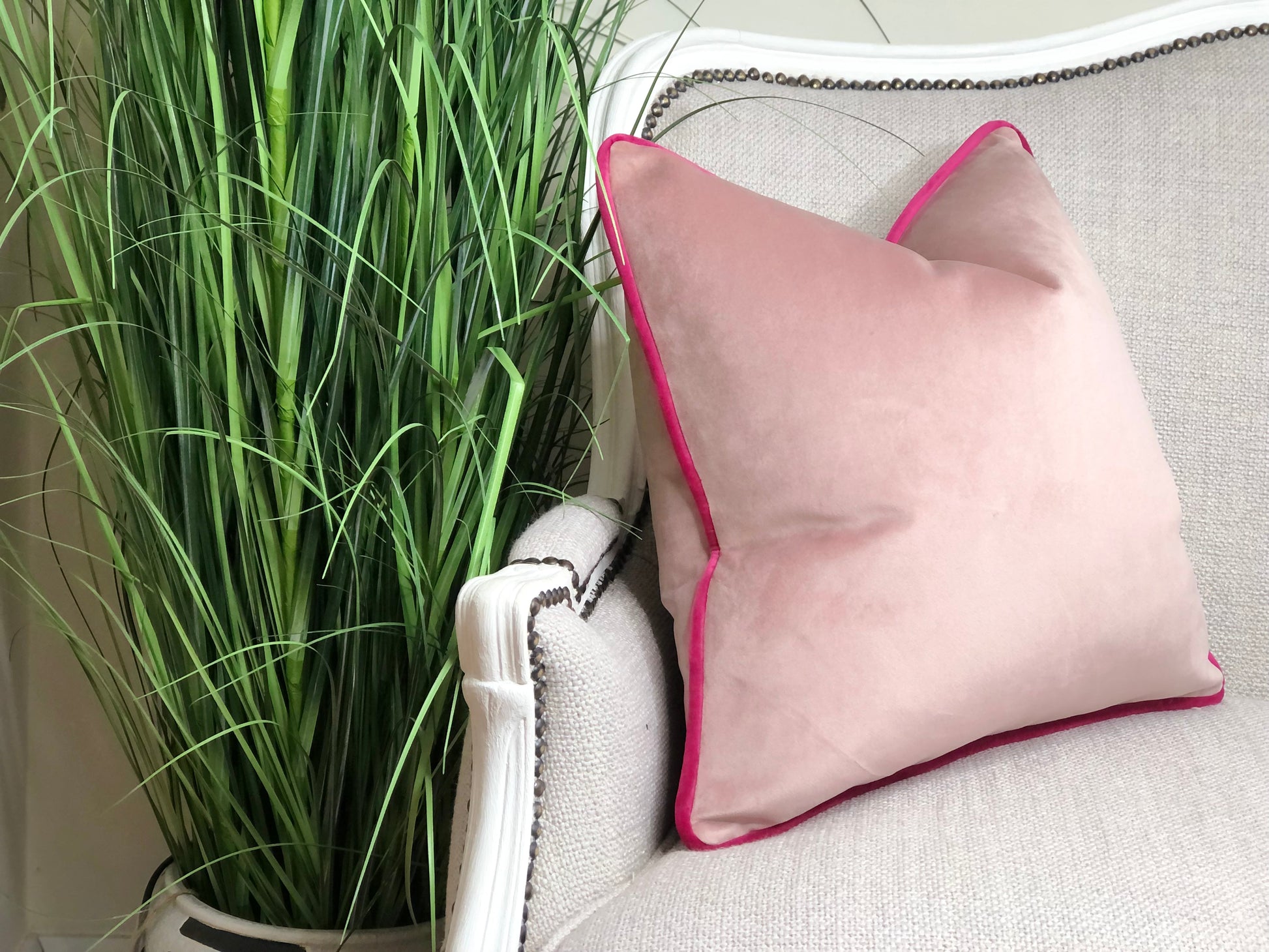 BLUSH VELVET Piped Cushion