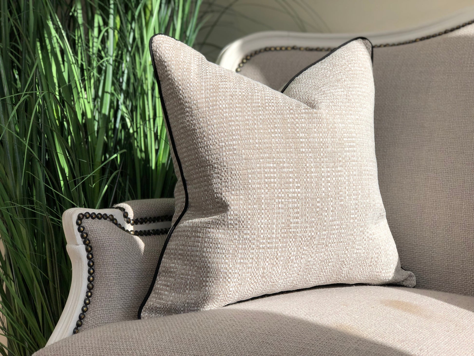 neutral cushion black piping