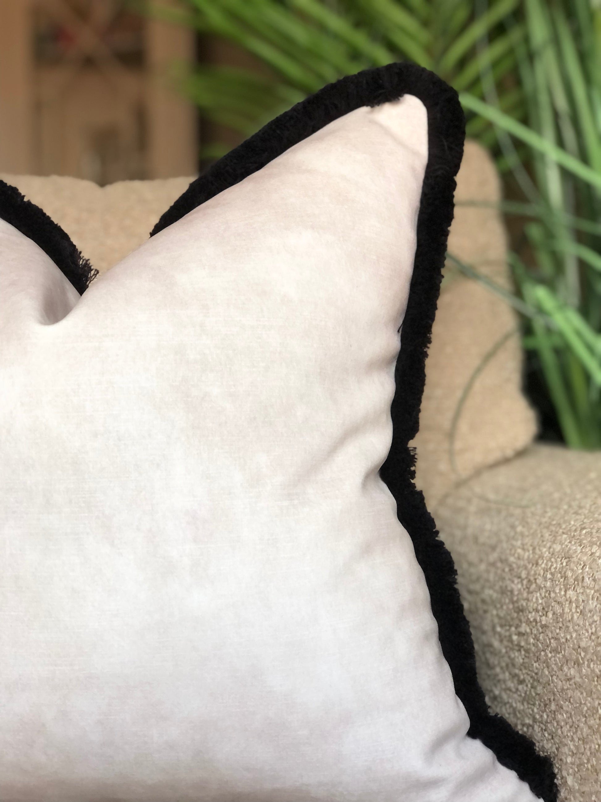 black trimmed cushion